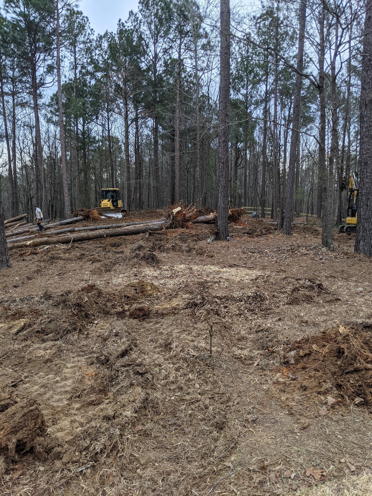 two-excavators-knocking-down-trees-in-wooded-area
