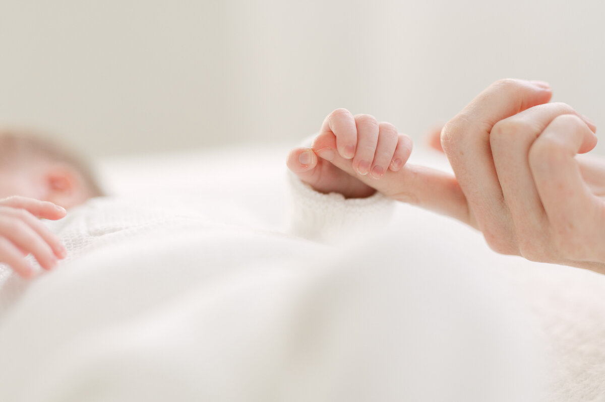 Newborn Photography In Denver22