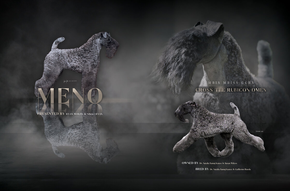 Meno - September 2024 Final