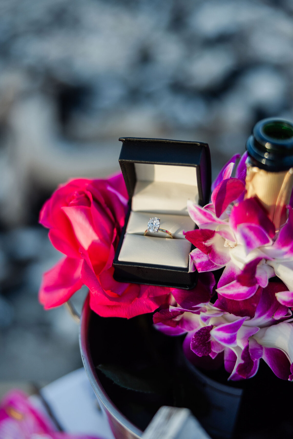 Hawaii-Proposal-Big-Island-Engagement (54)
