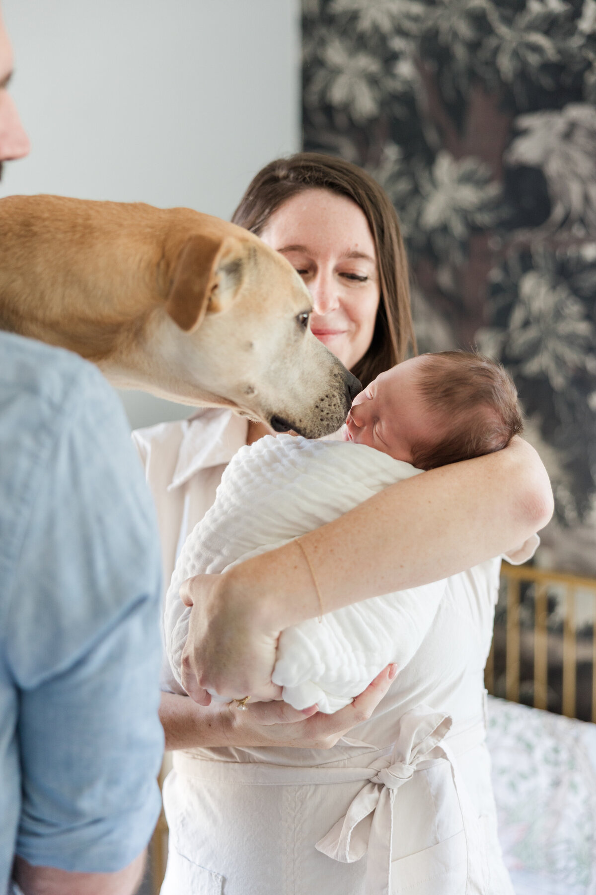 alexandria-newborn-session-20