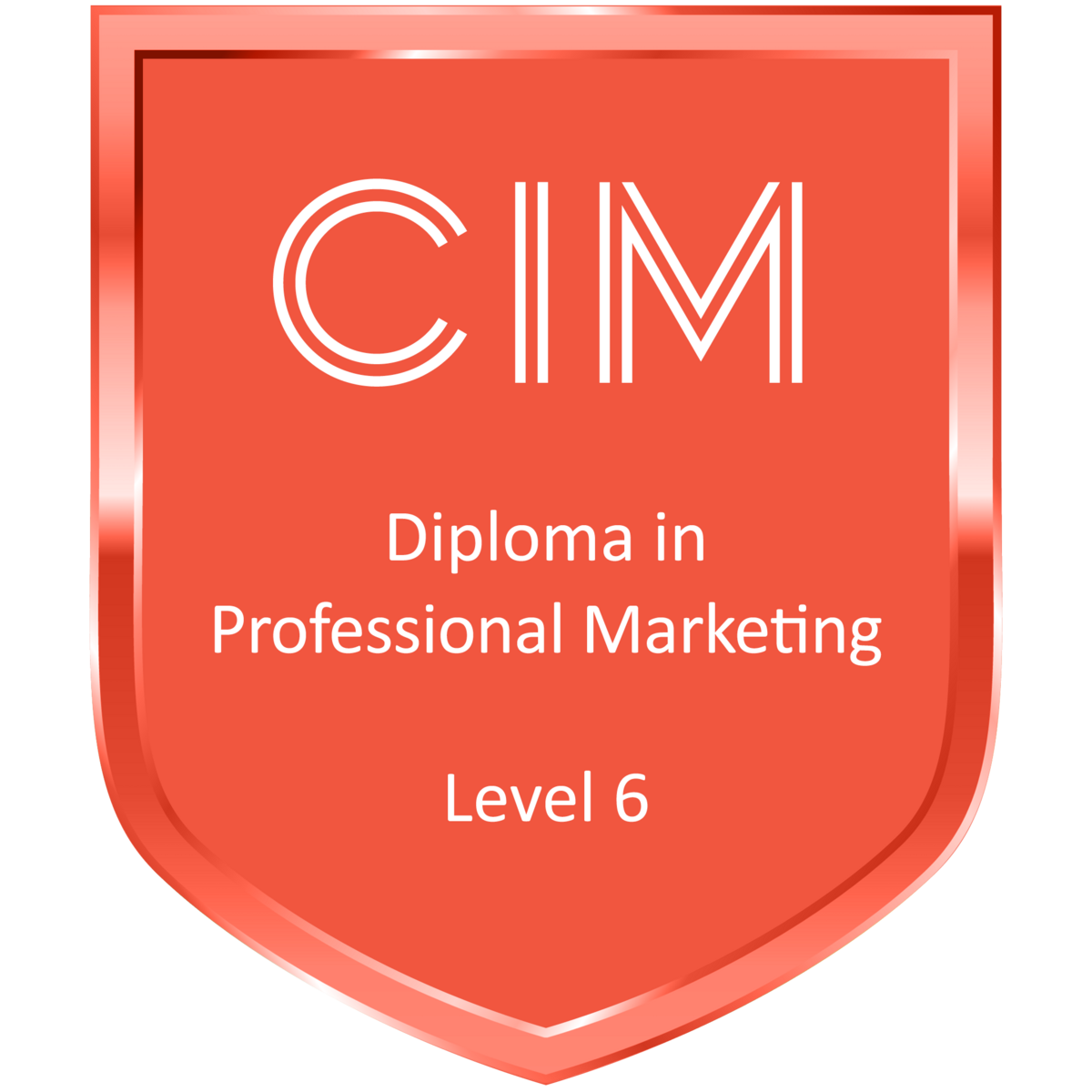 diploma-in-professional-marketing