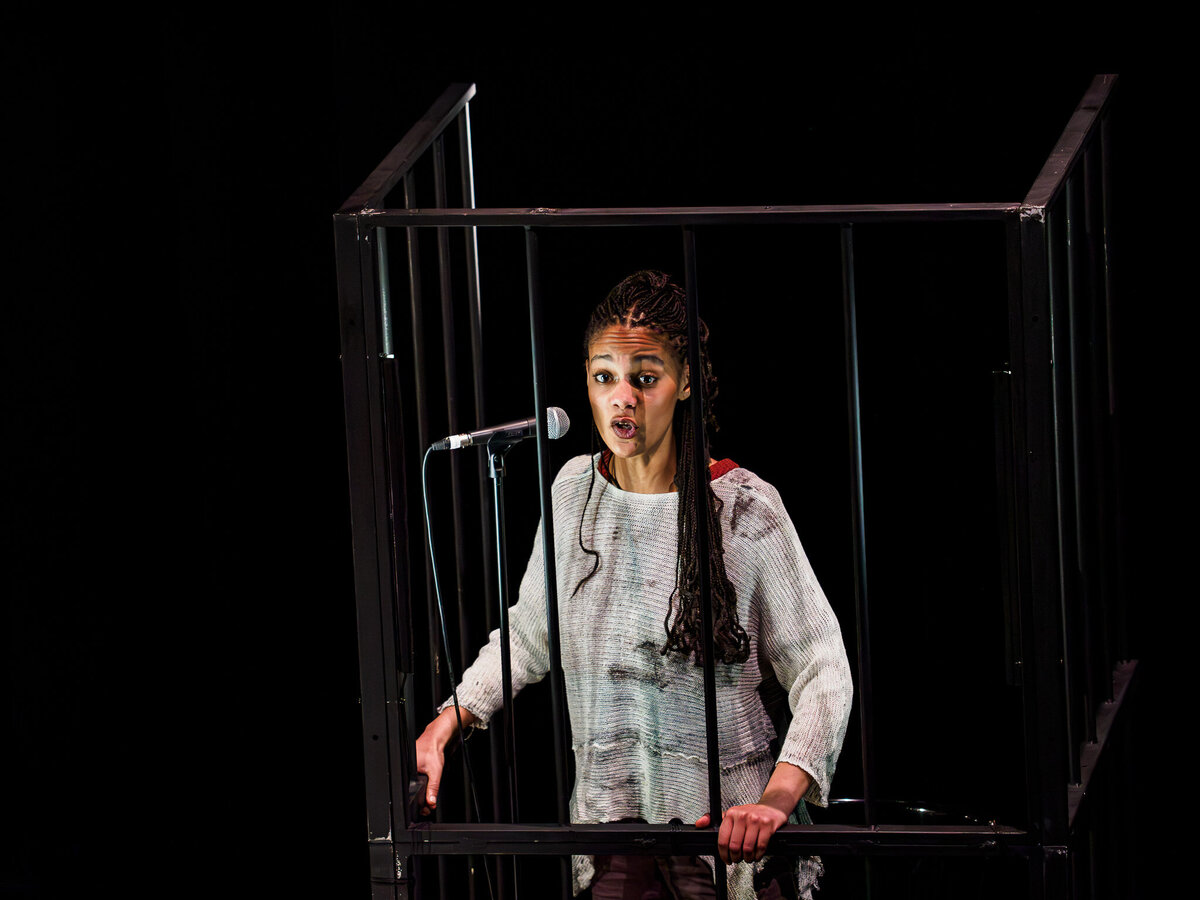 ROBIN  TPV_2130360-Enhanced-NR