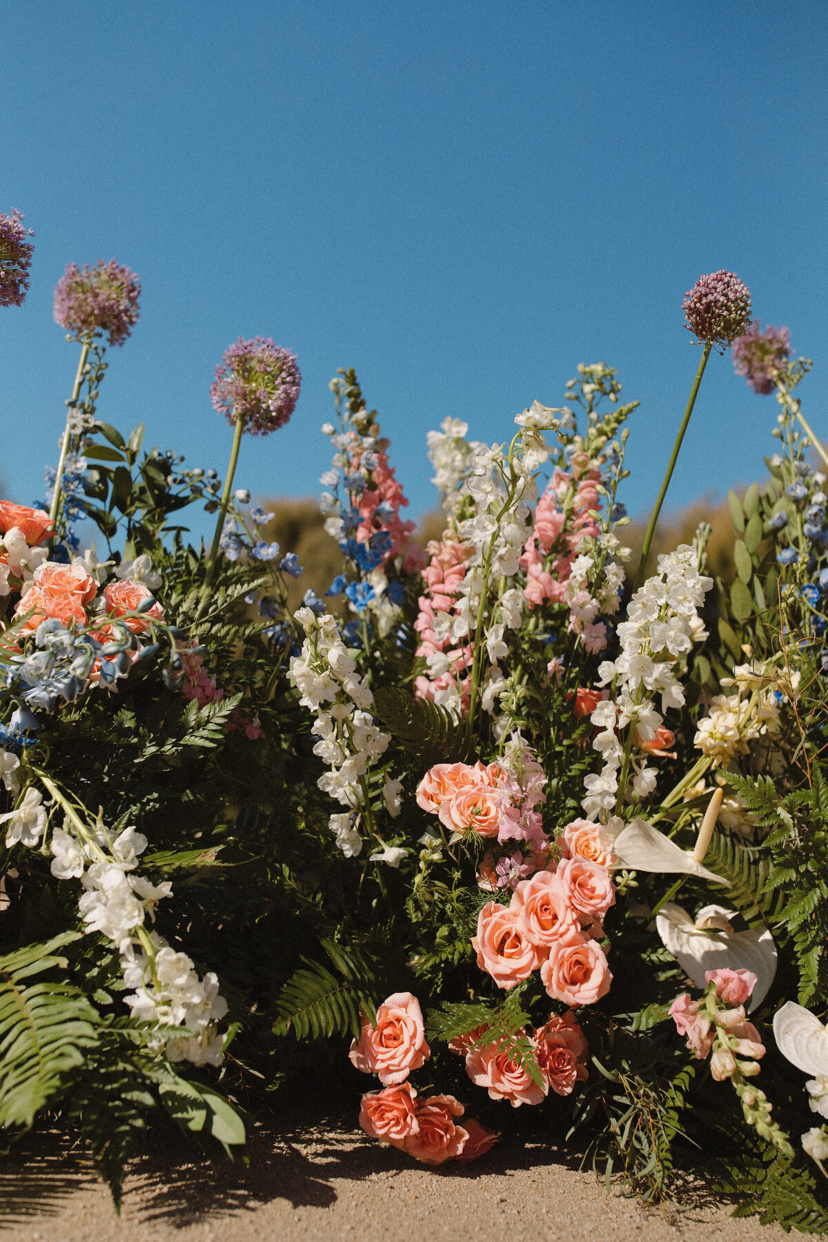 Mary-Lewis-Photography-Petaluma-California-Wedding-2022-25780