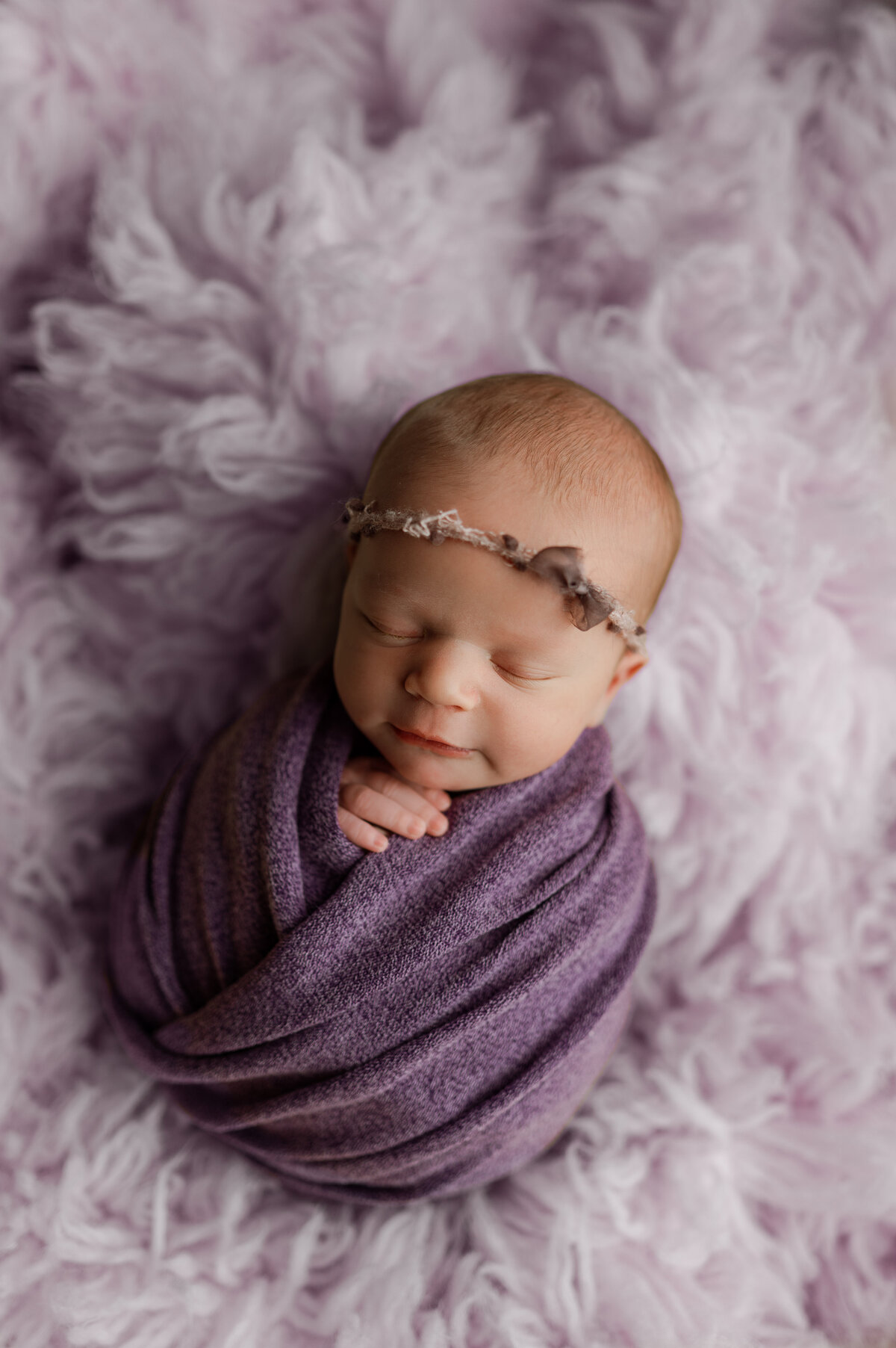 purple newborn photo session