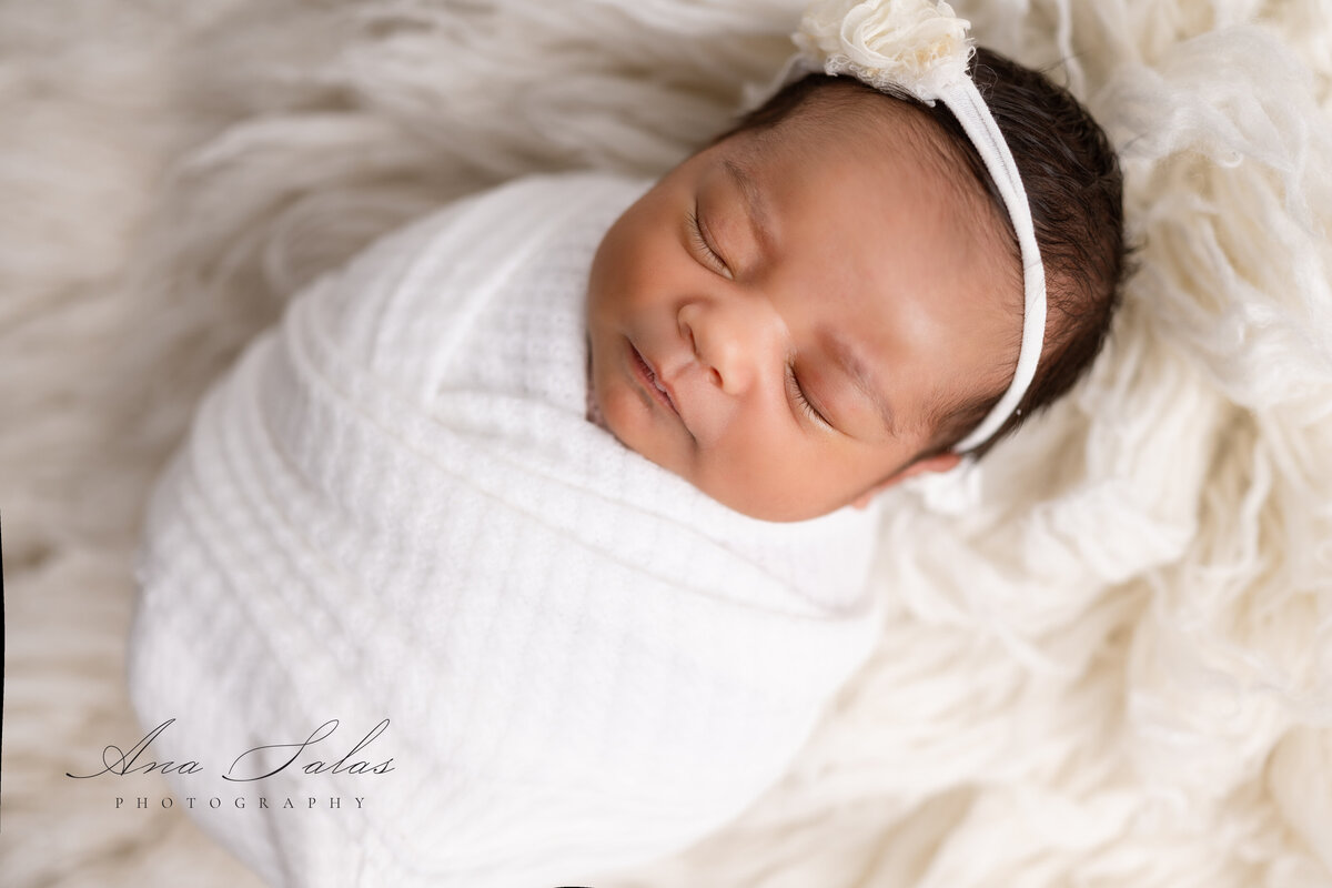 Newborn-Photographer-Edmonton-42