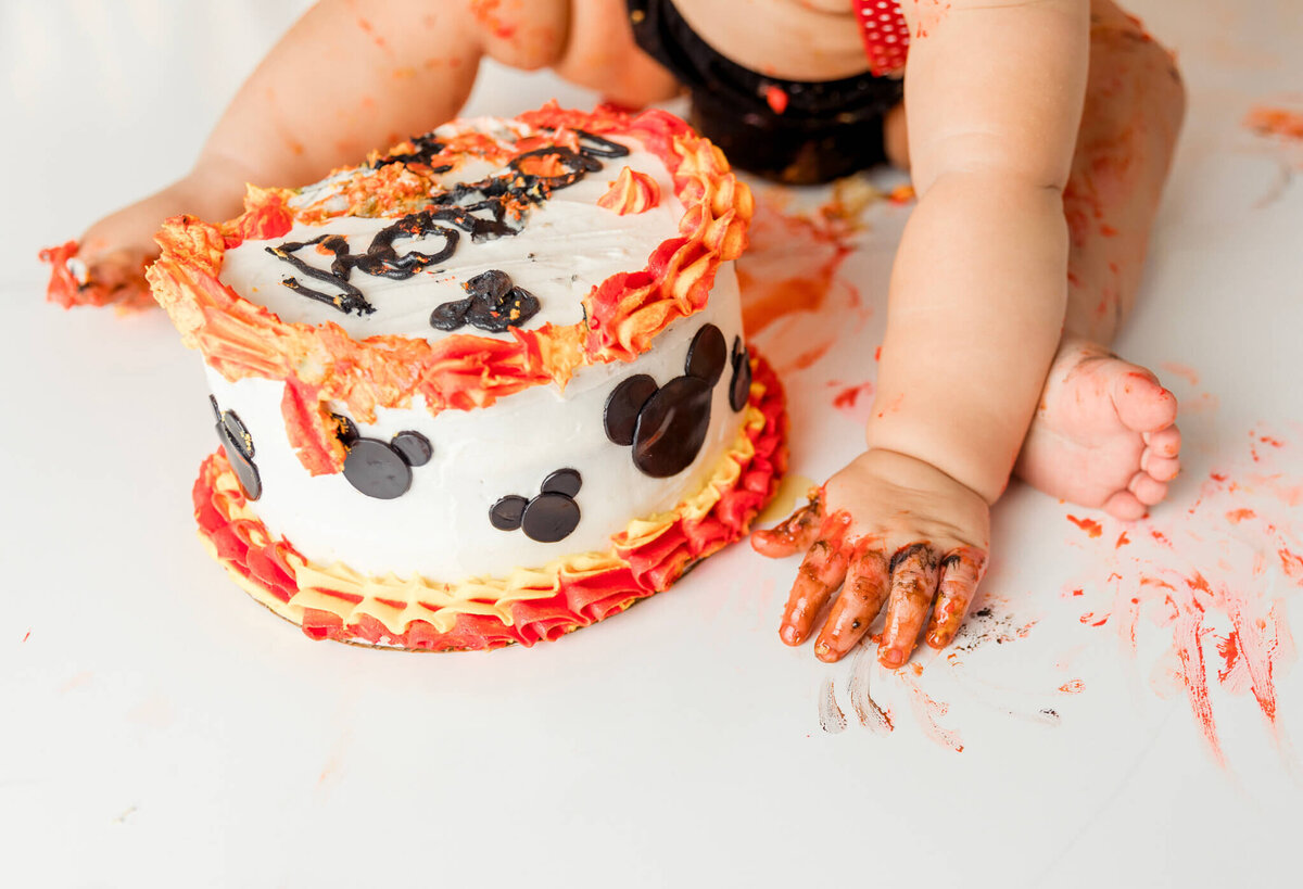 new-jersey-smash-cake-photographer-22