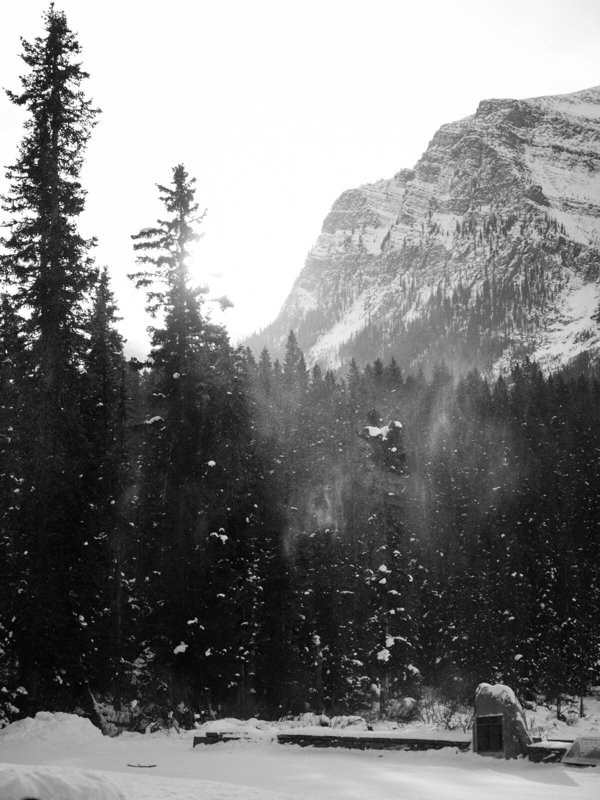 leila-brewster-photography-scenery-0013
