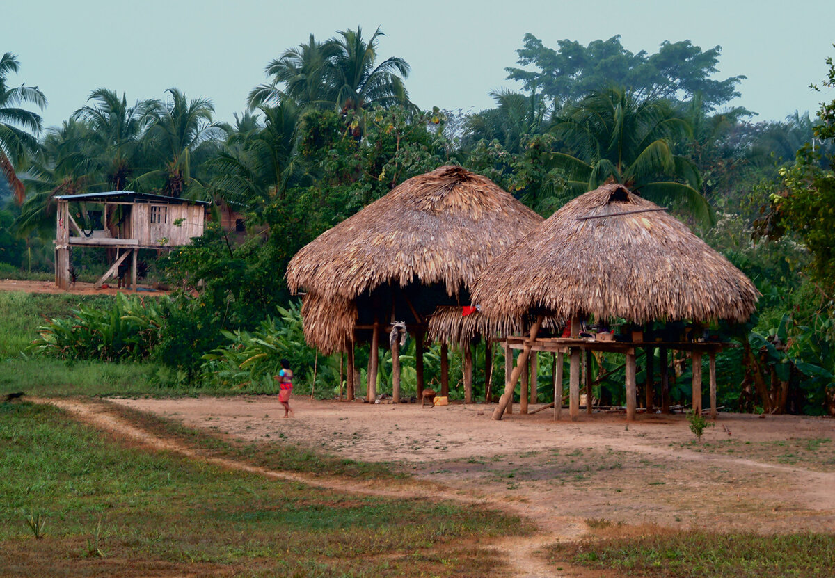 Village Life in the Darien Rainforest