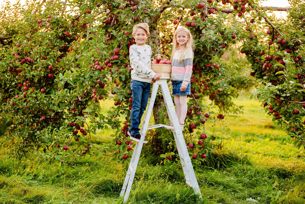 Toronto-Family-Photographer-514