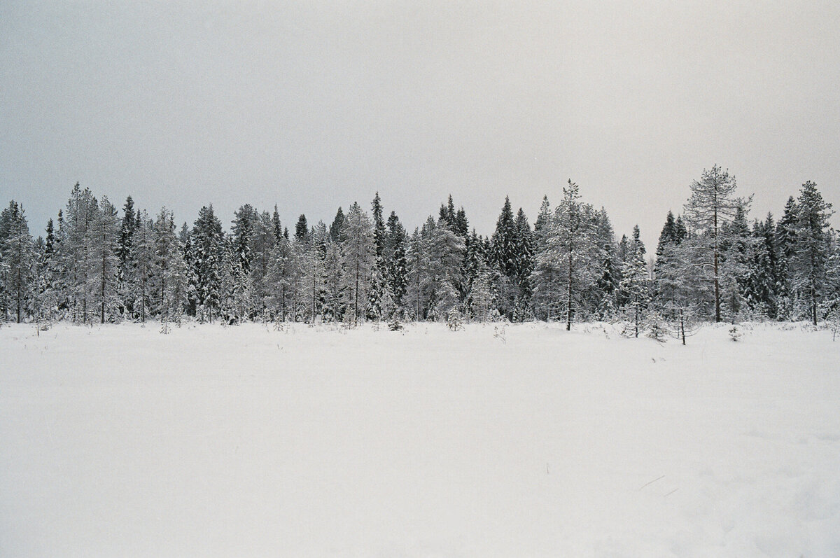 Lapland_Fotoreeks_14