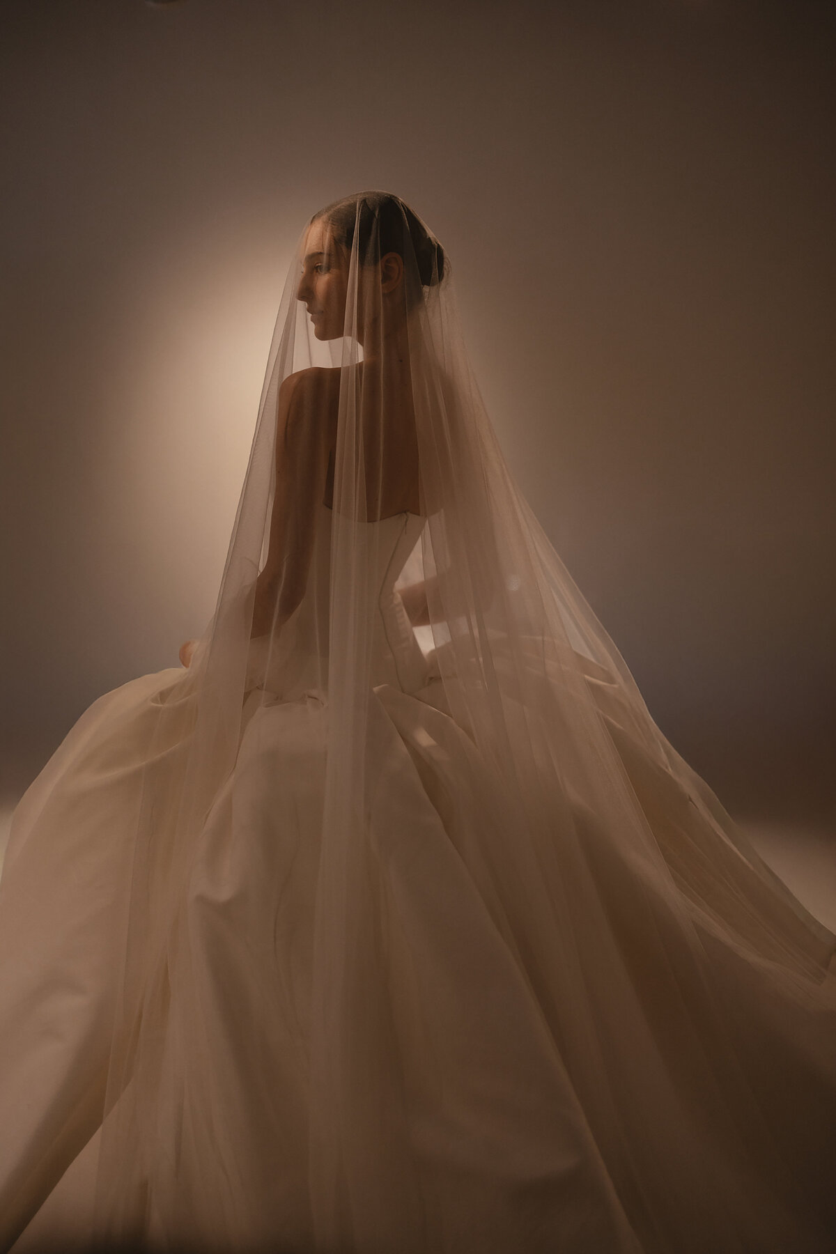 Softly lit editorial-style image of a person in a strapless wedding gown and cathedral-length veil, photographed inside the New York Public Library—capturing the architectural elegance and timeless mood of a wedding at this iconic NYC venue.