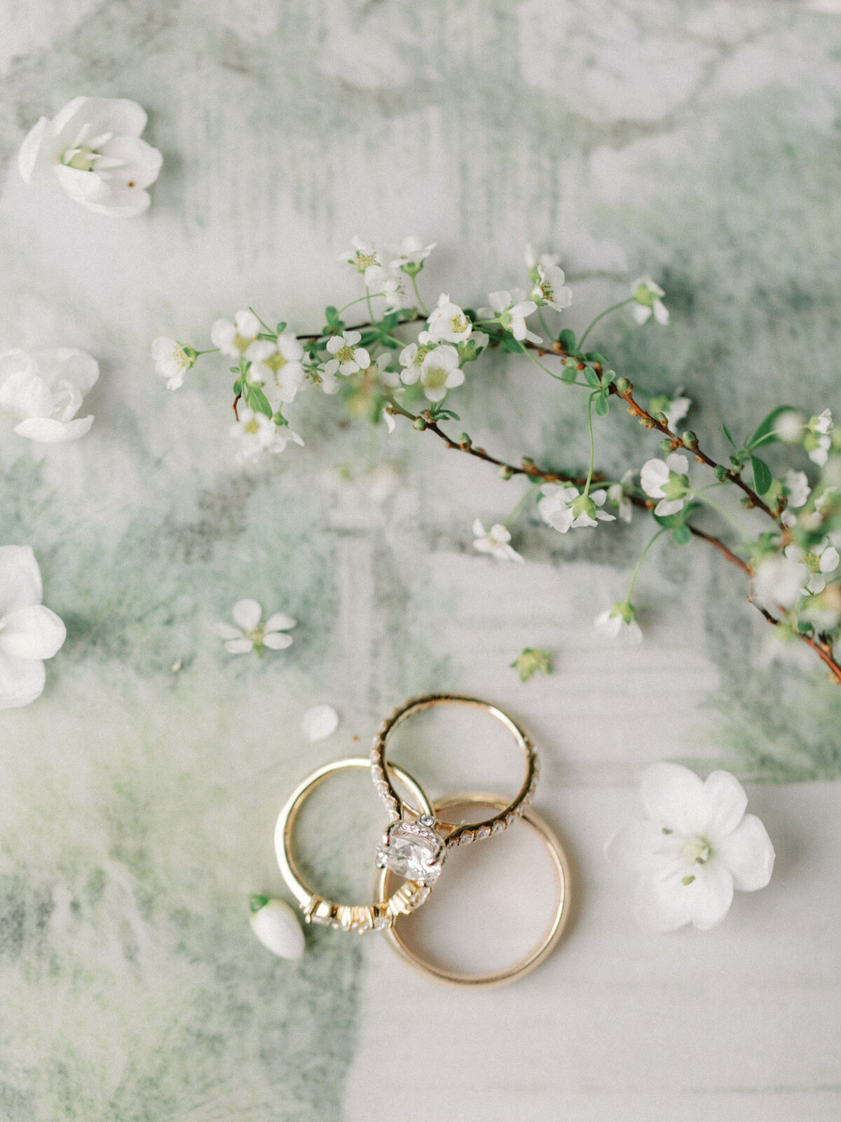 0055CWILLETTPHOTO_EMILY+RICH_20230211