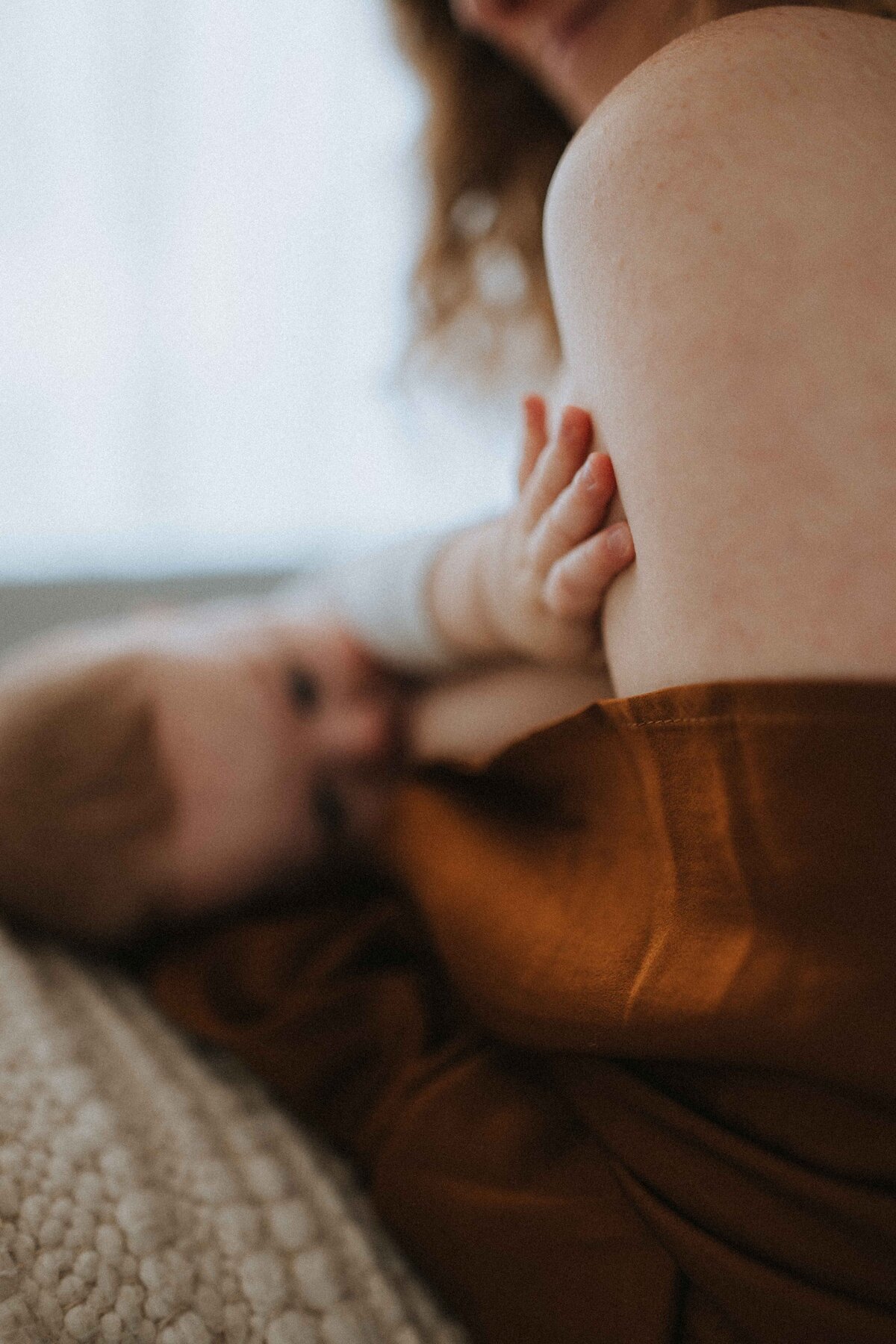 Elizabeth Priniski Madison Family Photographer Athena-17