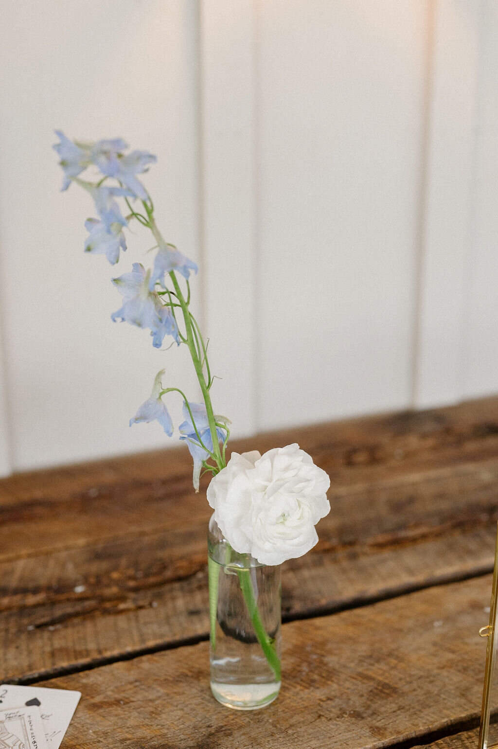 White and blue flower for wedding design