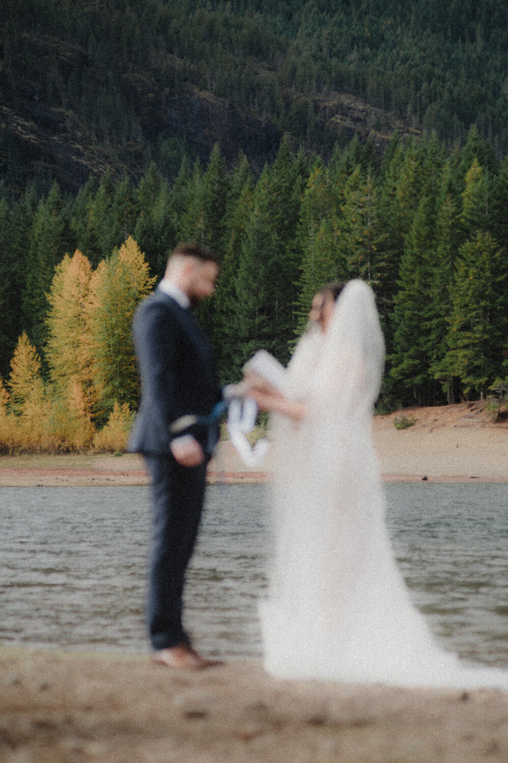 Strathcona Park Elopement-120