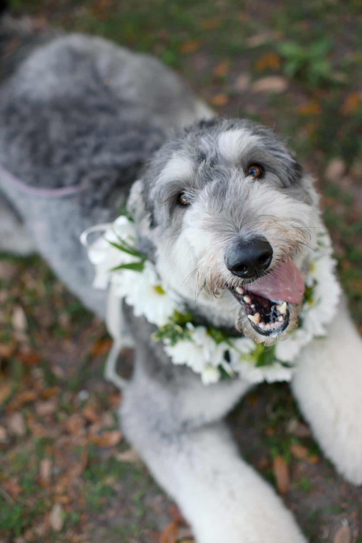 Sea-Pines-Wedding-43