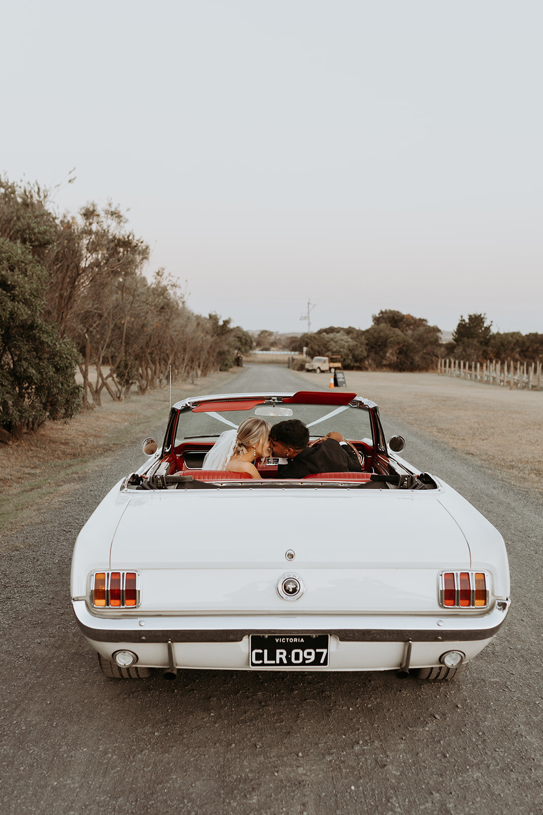 Sneak peek (184 of 195)