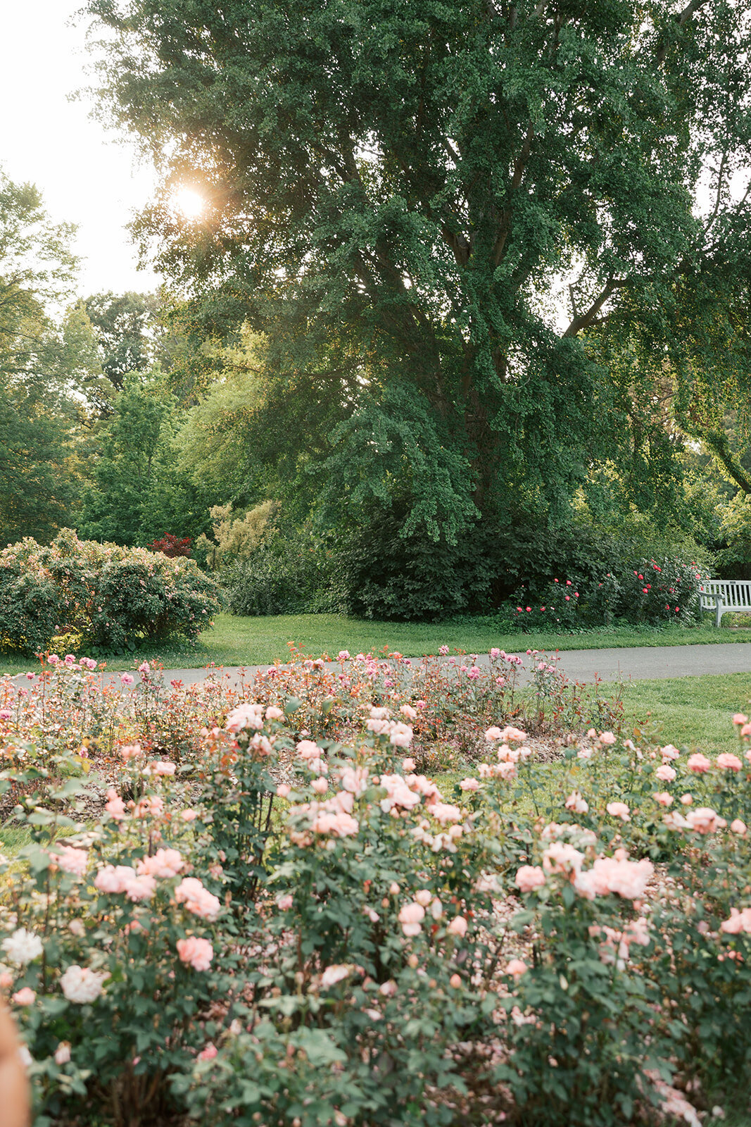 Philadelphia-wedding-photographer-oliviacasey00098