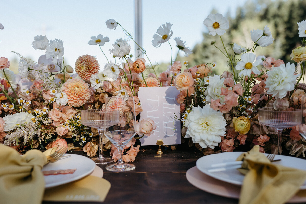 evergreen-colorado-colorful-wedding-photography-rachel-artime-photo-9123