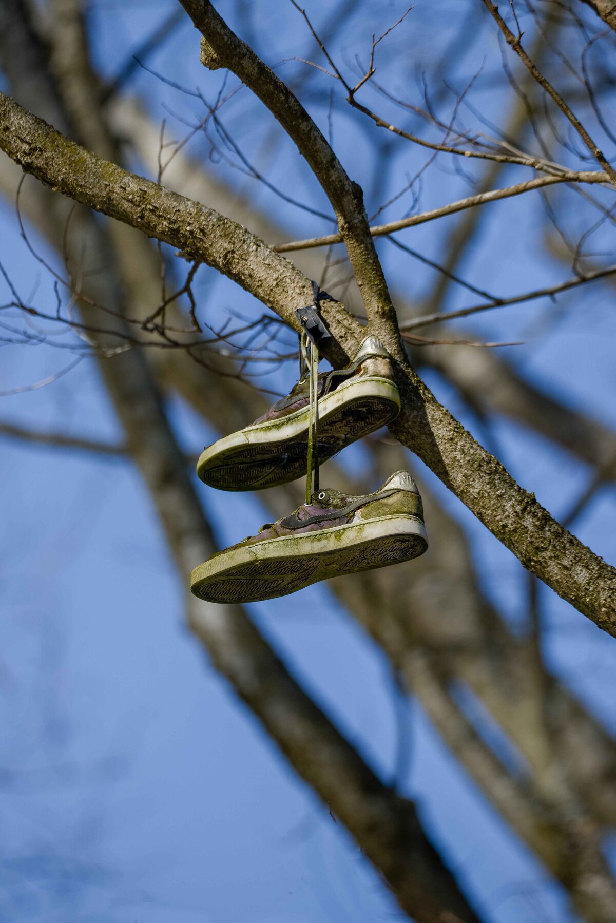 troy missouri, st louis missouri, commercial and branding photographer