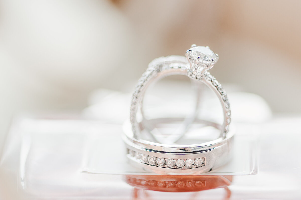 Sydney_wedding_photographer_SugarTreePhotography_DarrenAndMisty_27Aug2022_0013