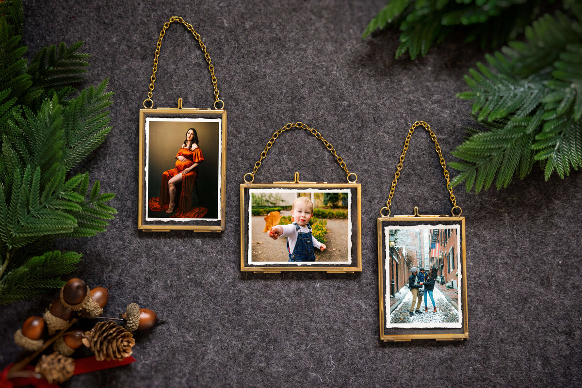 a-mathiowetz-ornaments-1