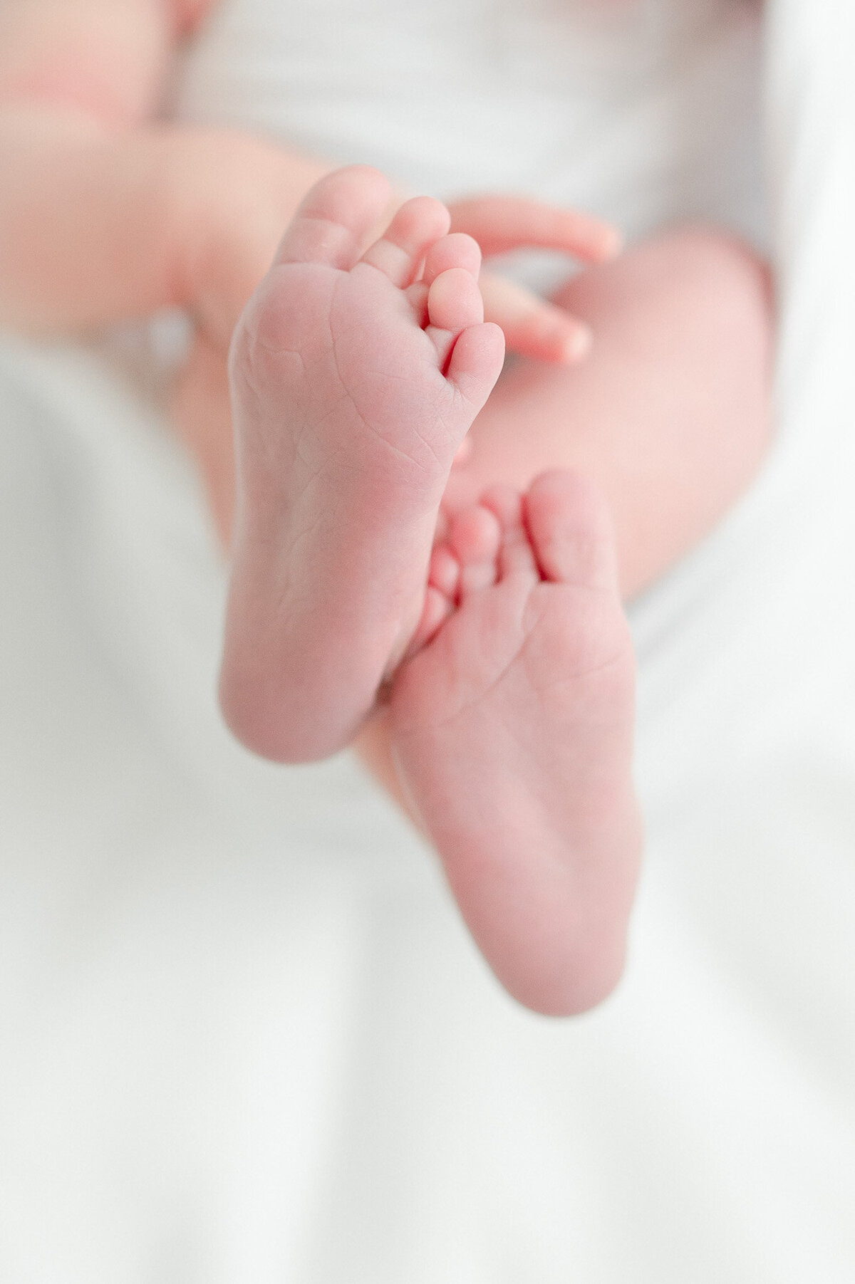 newborn baby feet in Kristie Lloyd's Nashville newborn photographer studio
