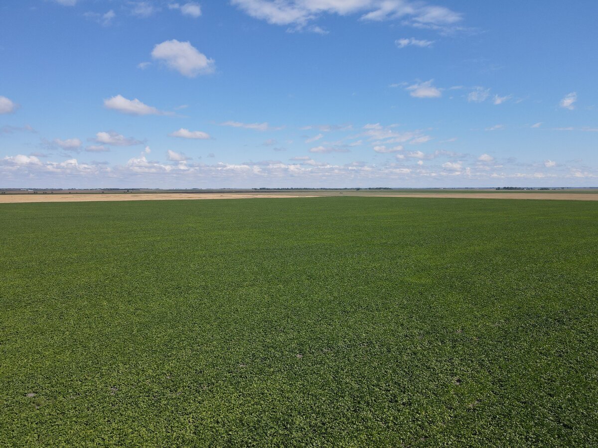 DJI_0866 (1)
