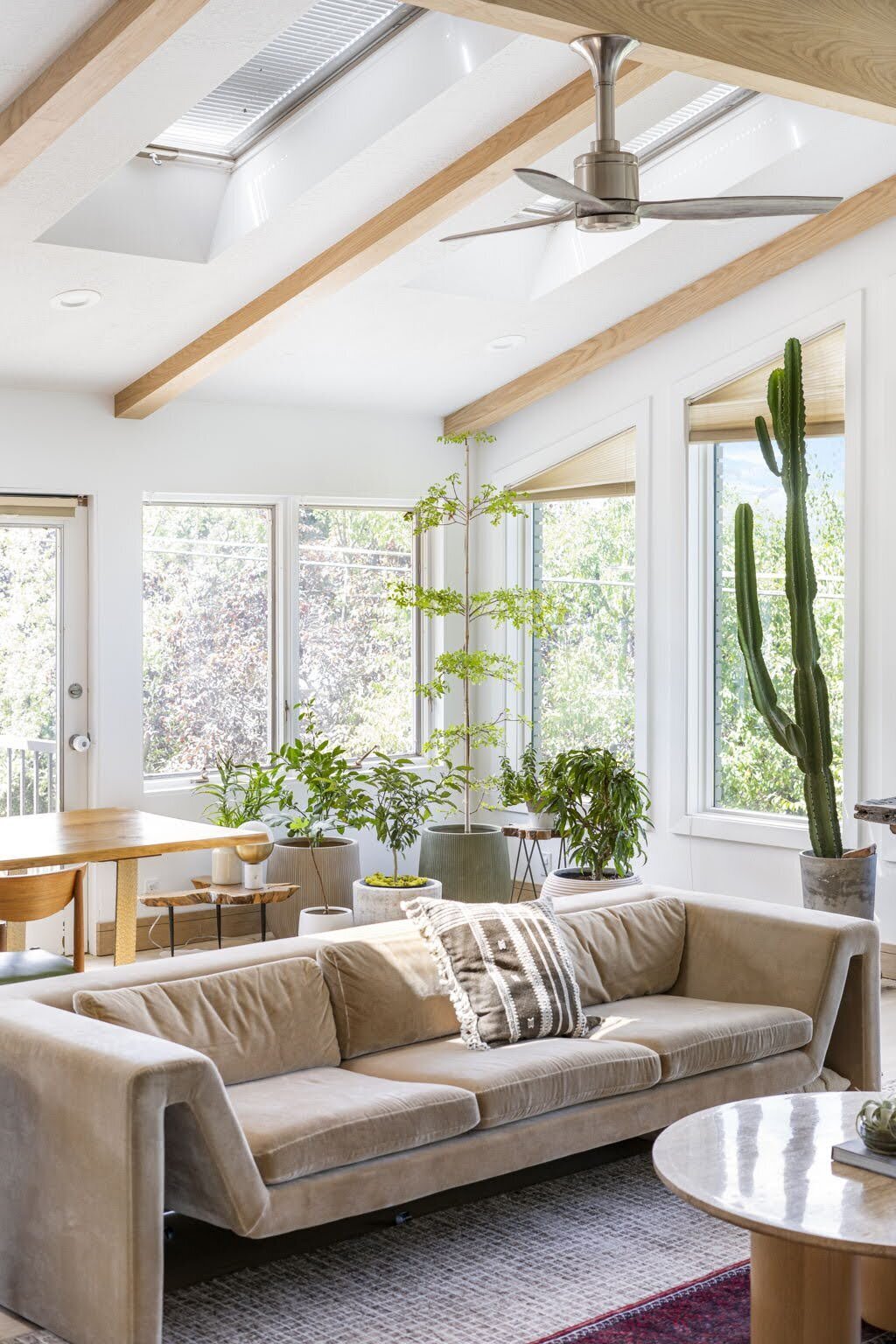 21-web-or-mls-DSC03522