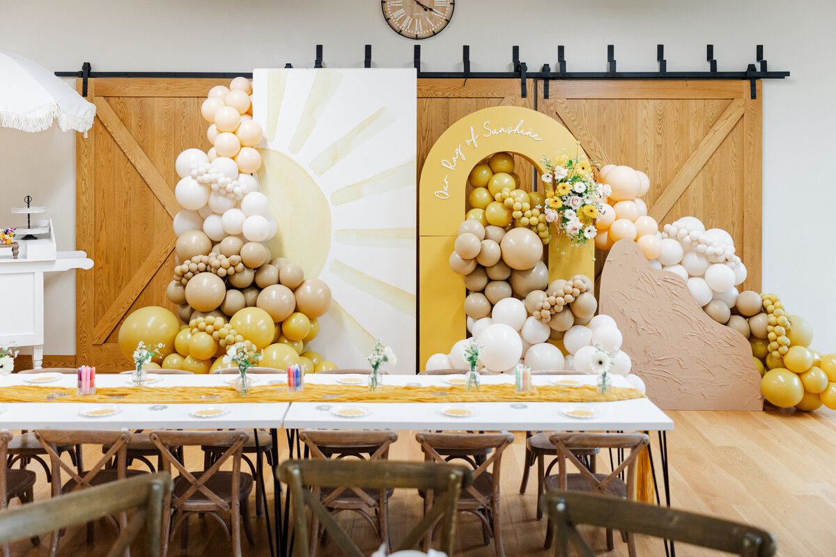 party set up by minneapolis photographers