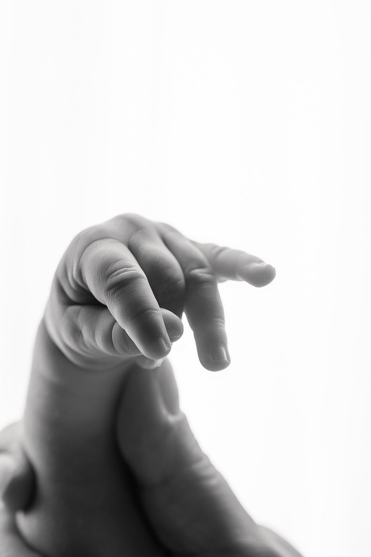 best newborn photography near me, NW Arkansas newborn portrait studio