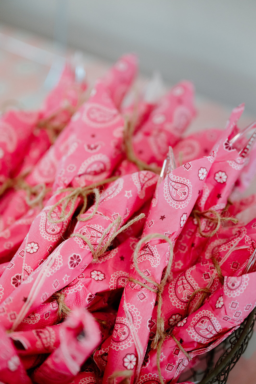 First Rodeo Kids Birthday Party