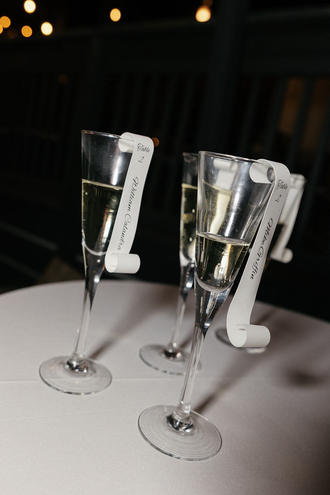 calandra-sneak-peek-120