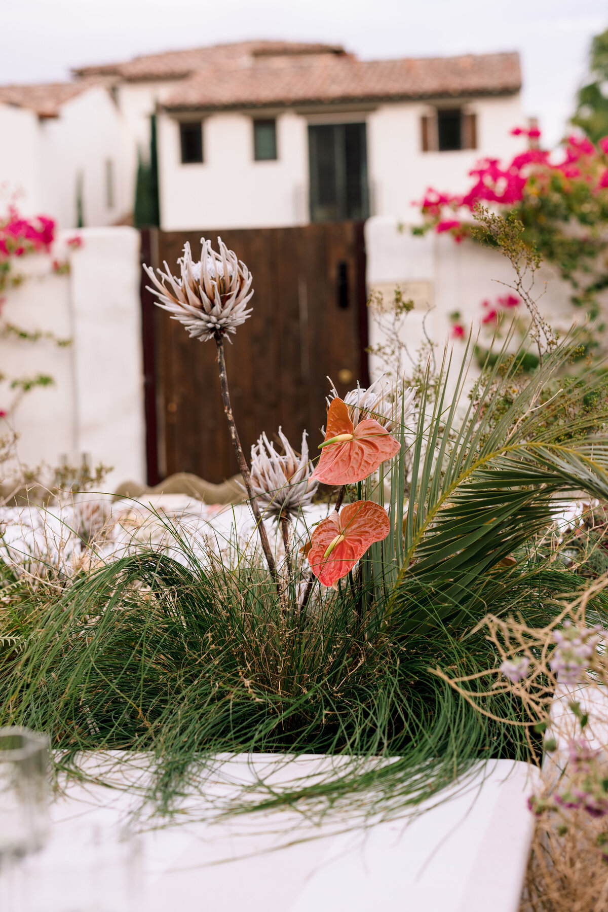 brefloresphotography-korakiapalmsprings-49