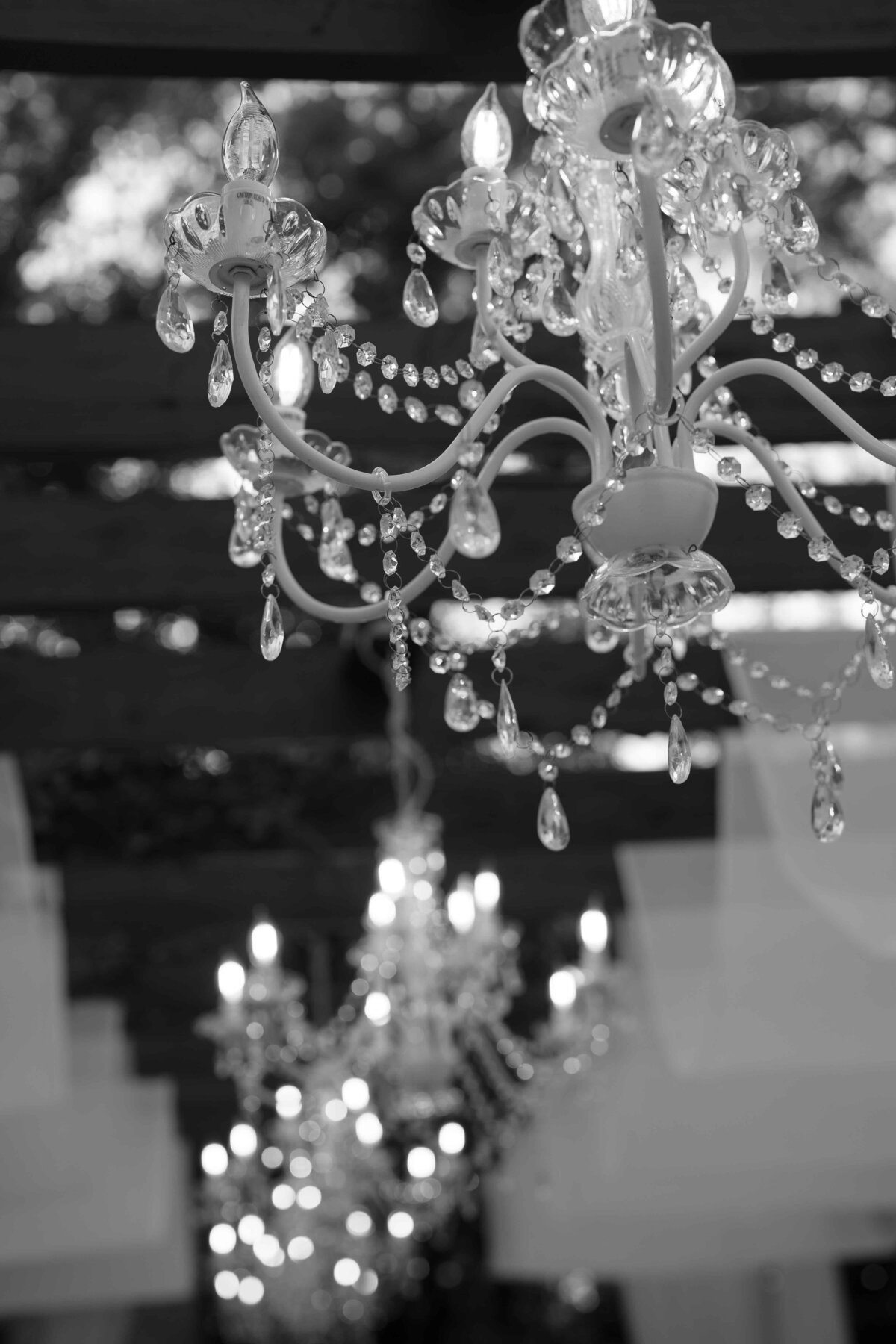 DSC01116