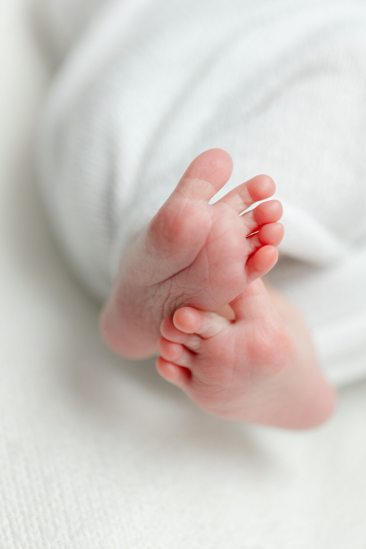 In-home newborn portrait session in Philadelphia - 2