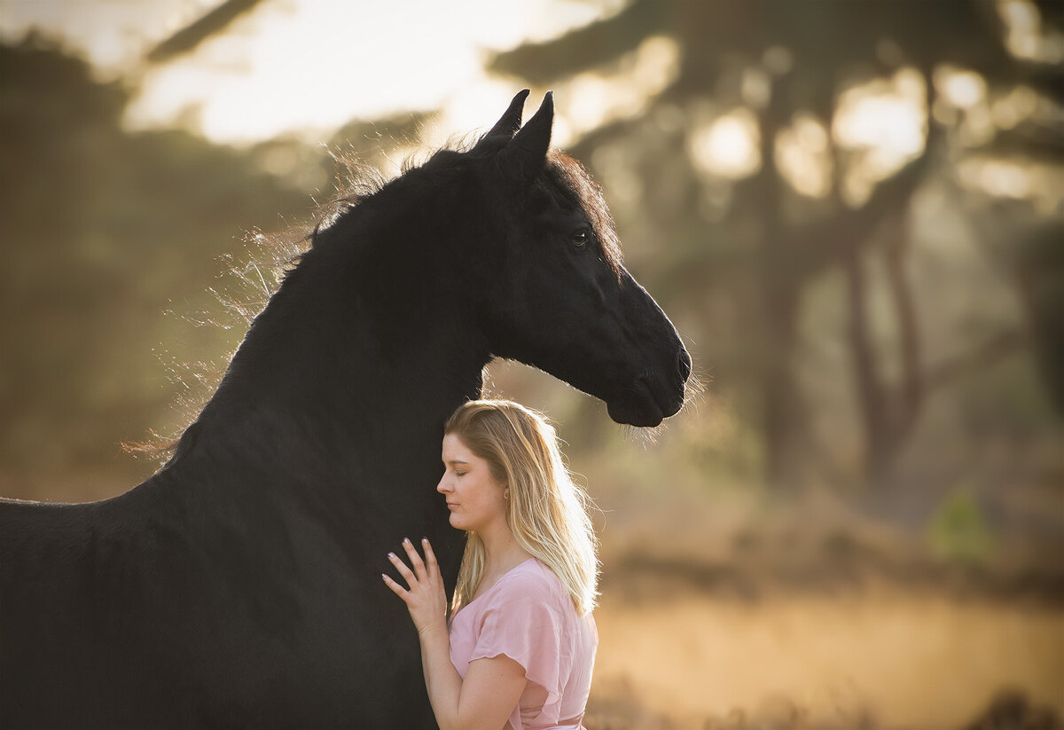 Zwart Paard Fotografie