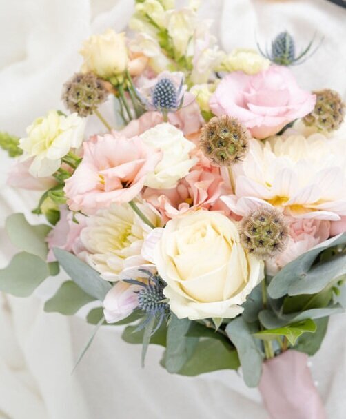 Bloomkeeper_PBS_KPP24-0748
