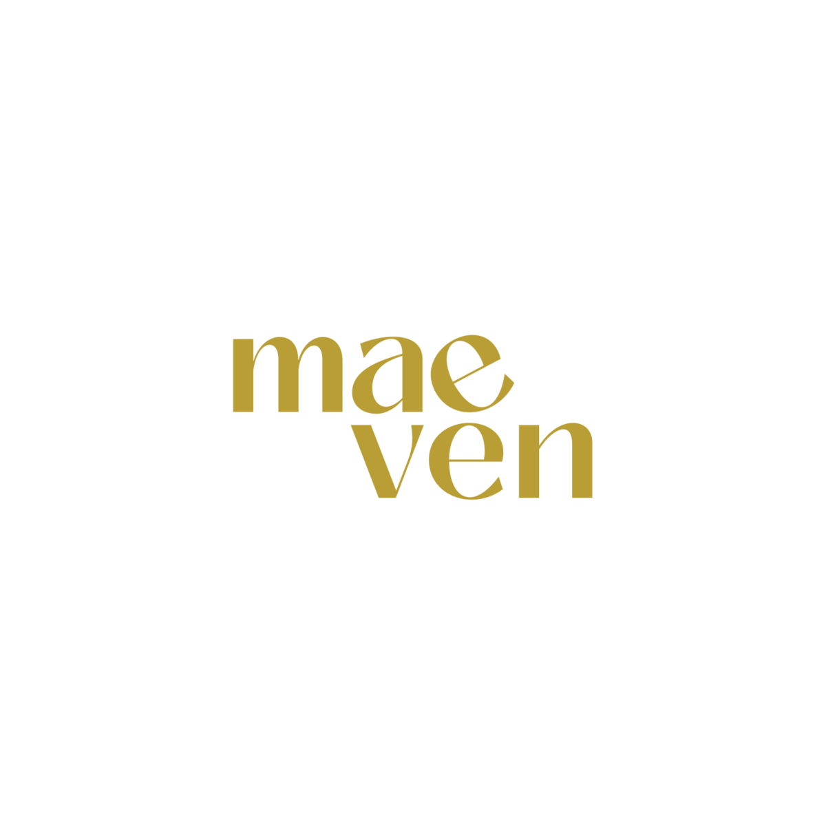 Maeven Digital, social media marketing agency in Charlotte, brand management in charlotte, charlotte videographer, charlotte photographer
