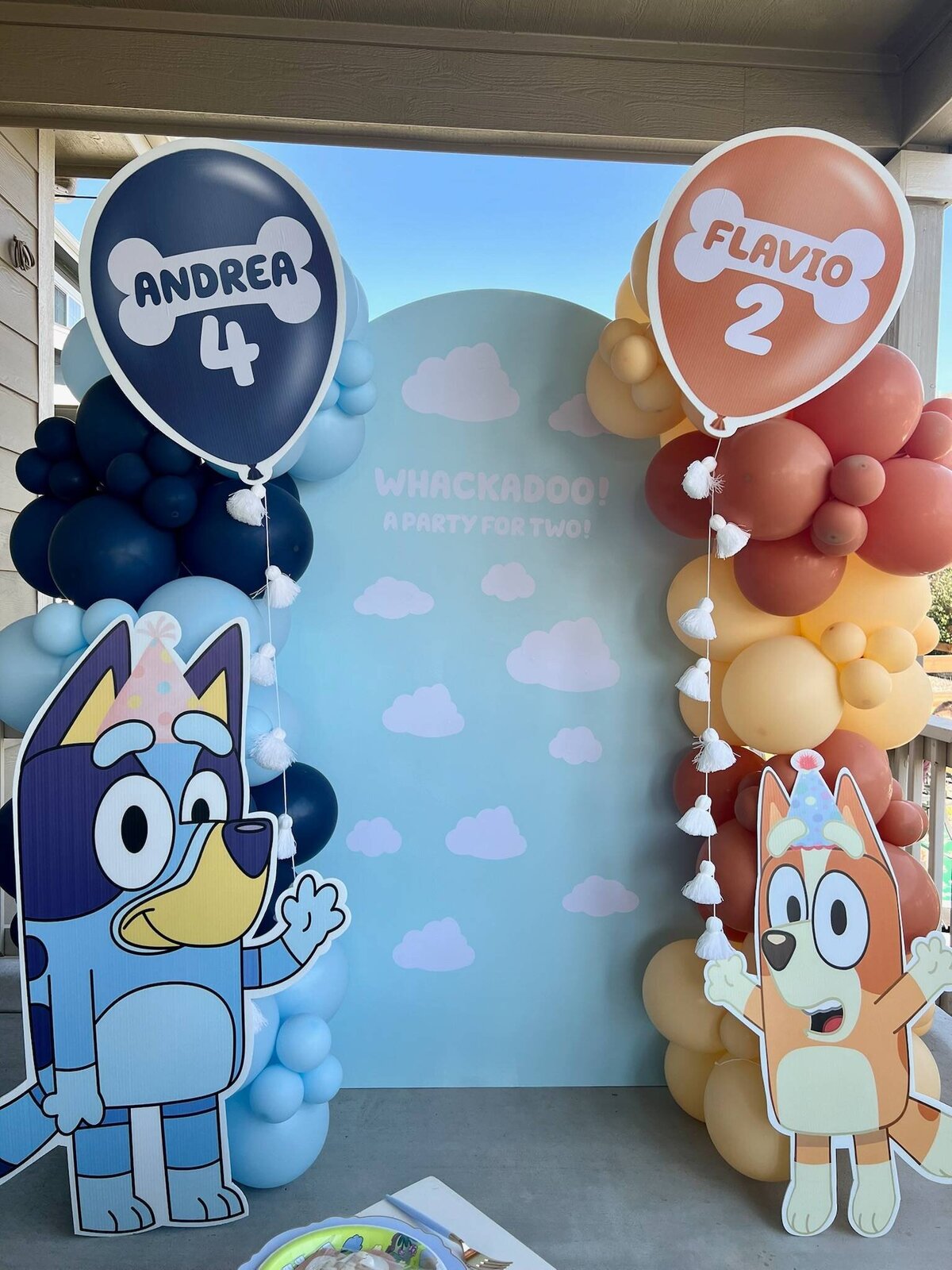 bluey-themed-kids-party-denver (2)
