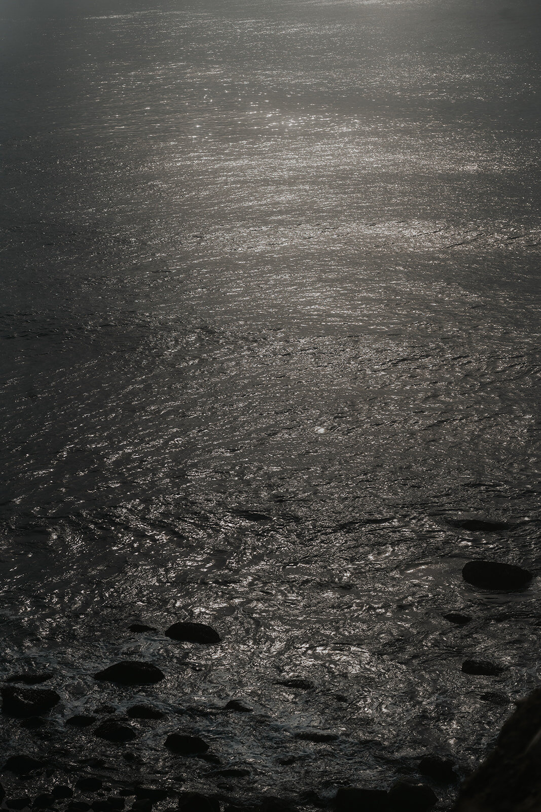 Suzy Anderson Photography_-77