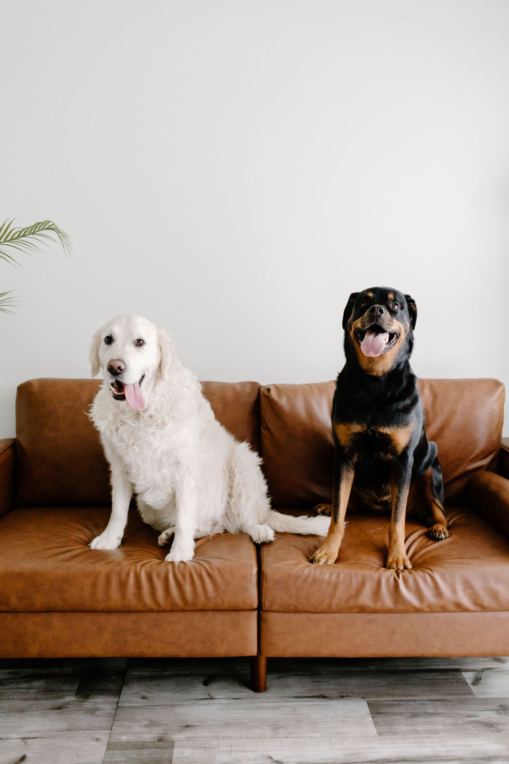 christina_ney_photography_wedding_engagement_lifestyle_photographer_dubuque_iowa_wedding_planning_assistance_adventurous_bold_laidback Family Photography24
