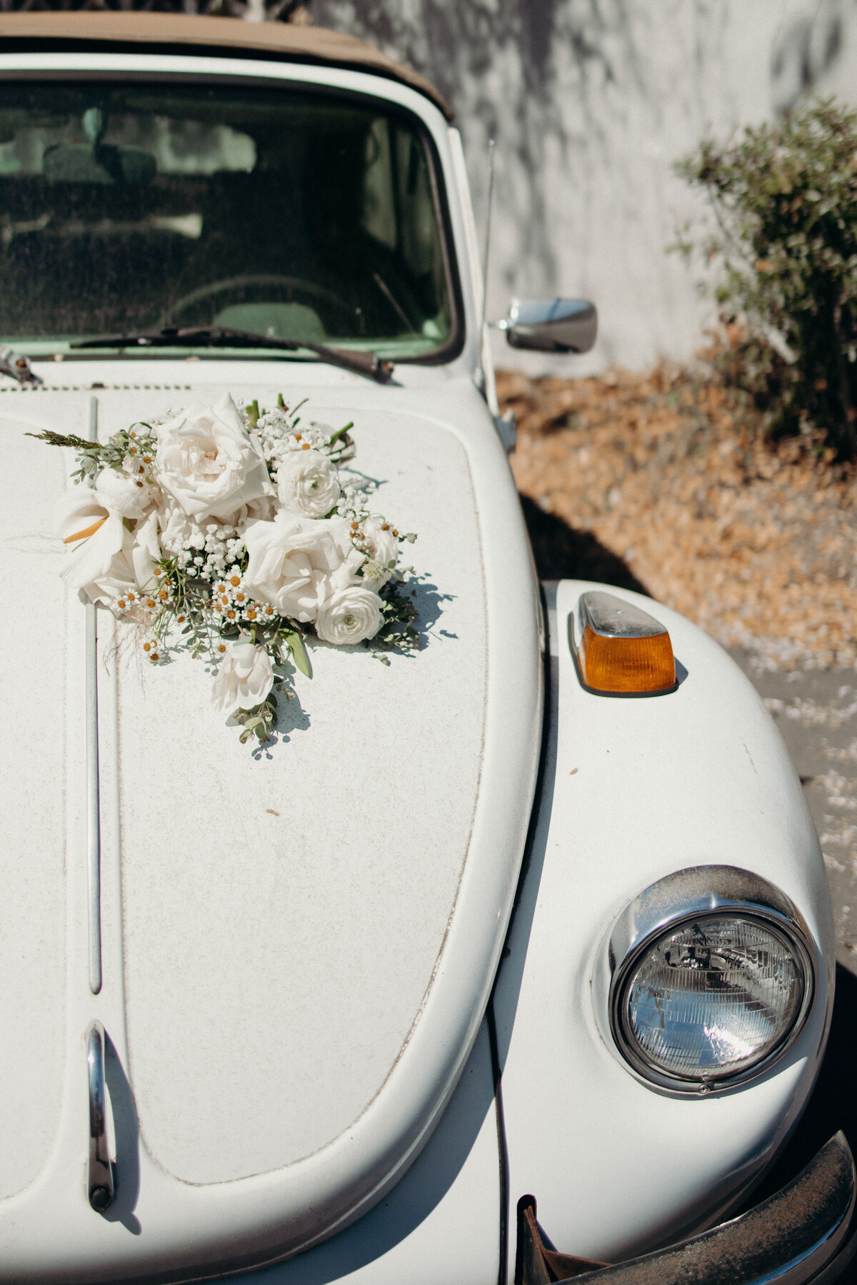 1 Lizzie Kyle Charleston Elopement Styled Shoot