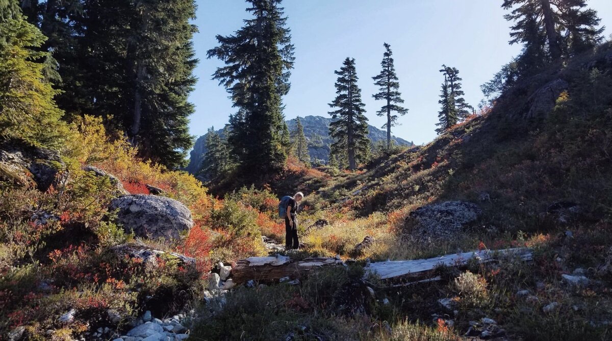 Screenshot 2025-07-11 195846