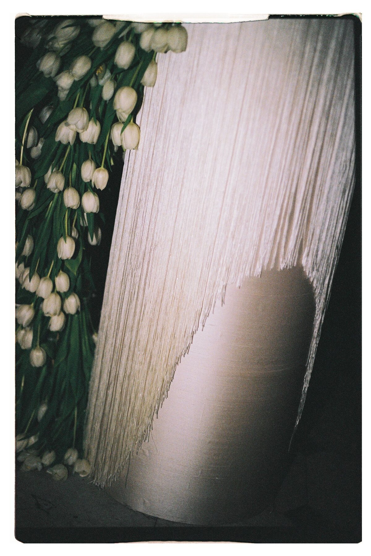 Maegan-Brown-Moments_20250315_Wedding_The-Del-Moros_Styling-Photography_35mm-FIlm_029-2