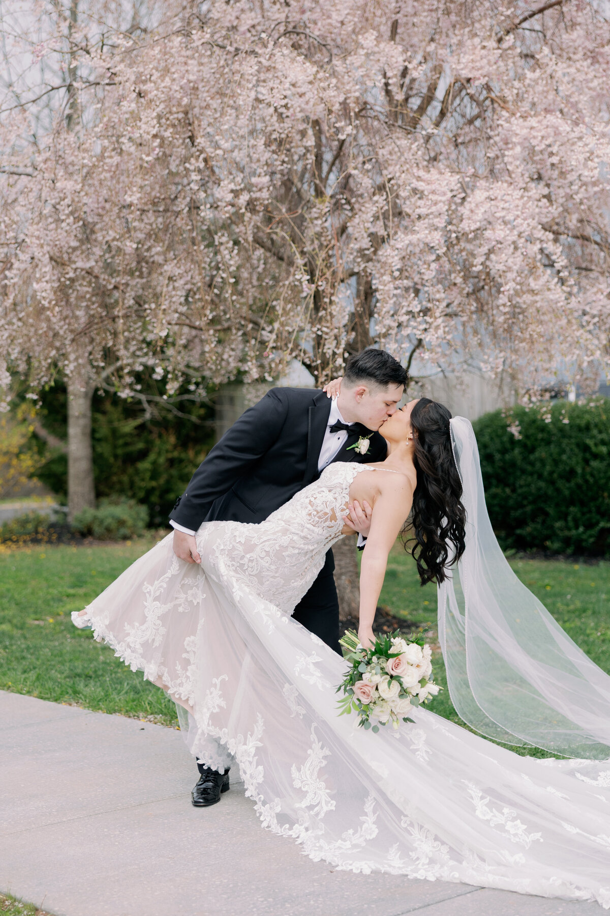 Groom dipping bride beneath blooming cherry blossoms during spring wedding at Springfield Manor.