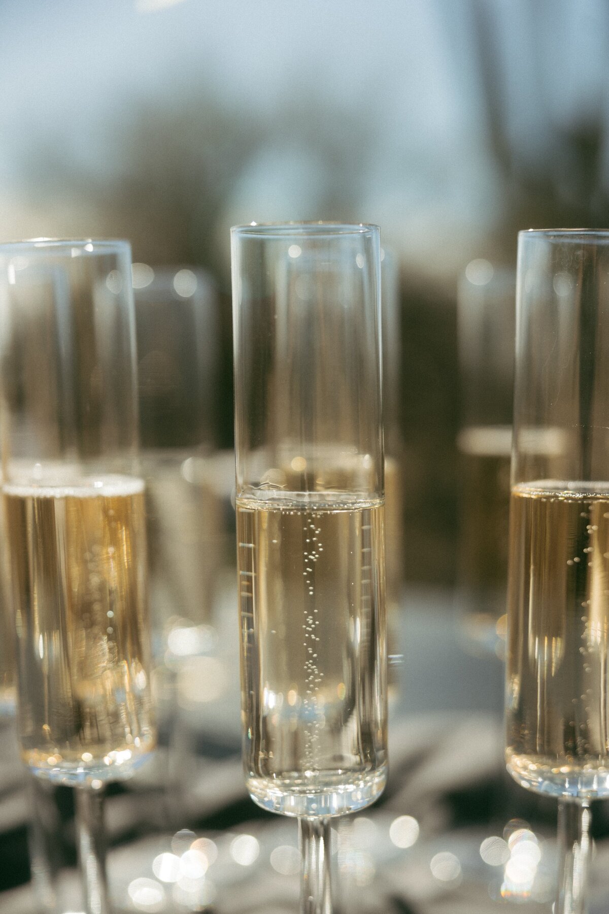 scottsdale Cocktail Party catering