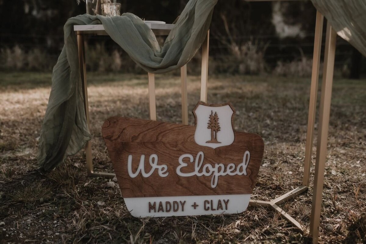 paisley-sunshine-white-rock-canyon-tampa-elope-chantilly-chic-celebrations-8