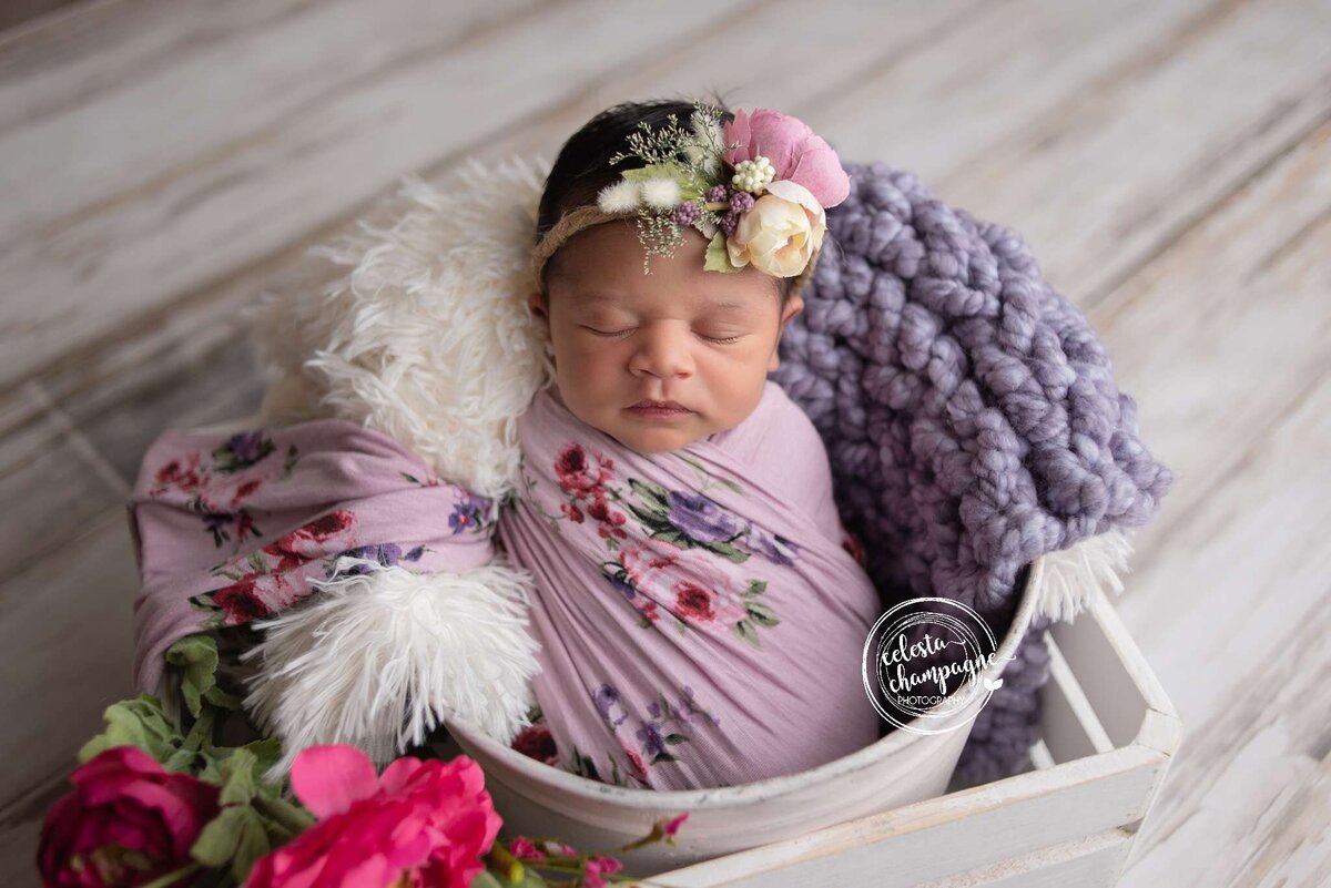 Newborn Photographer Carthage Joplin Missouri Celesta Champagne_2824